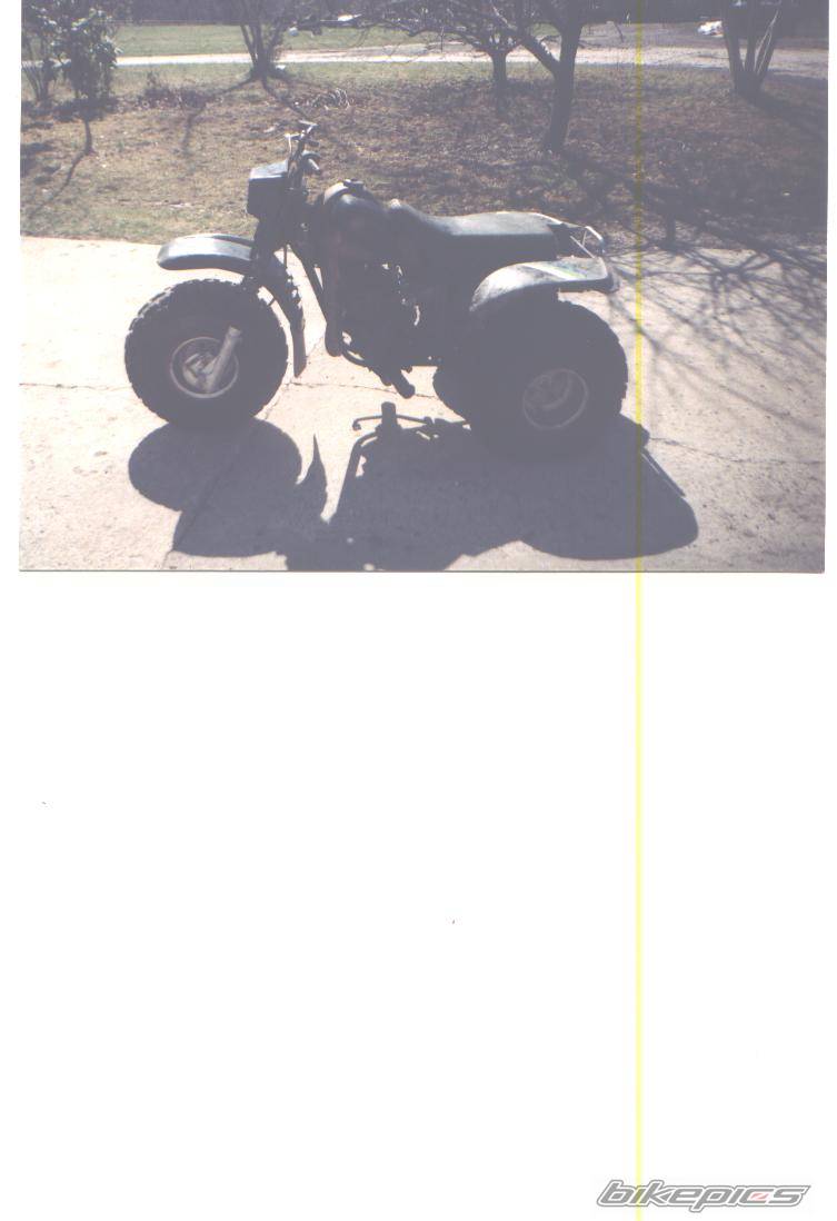 Photo 212315