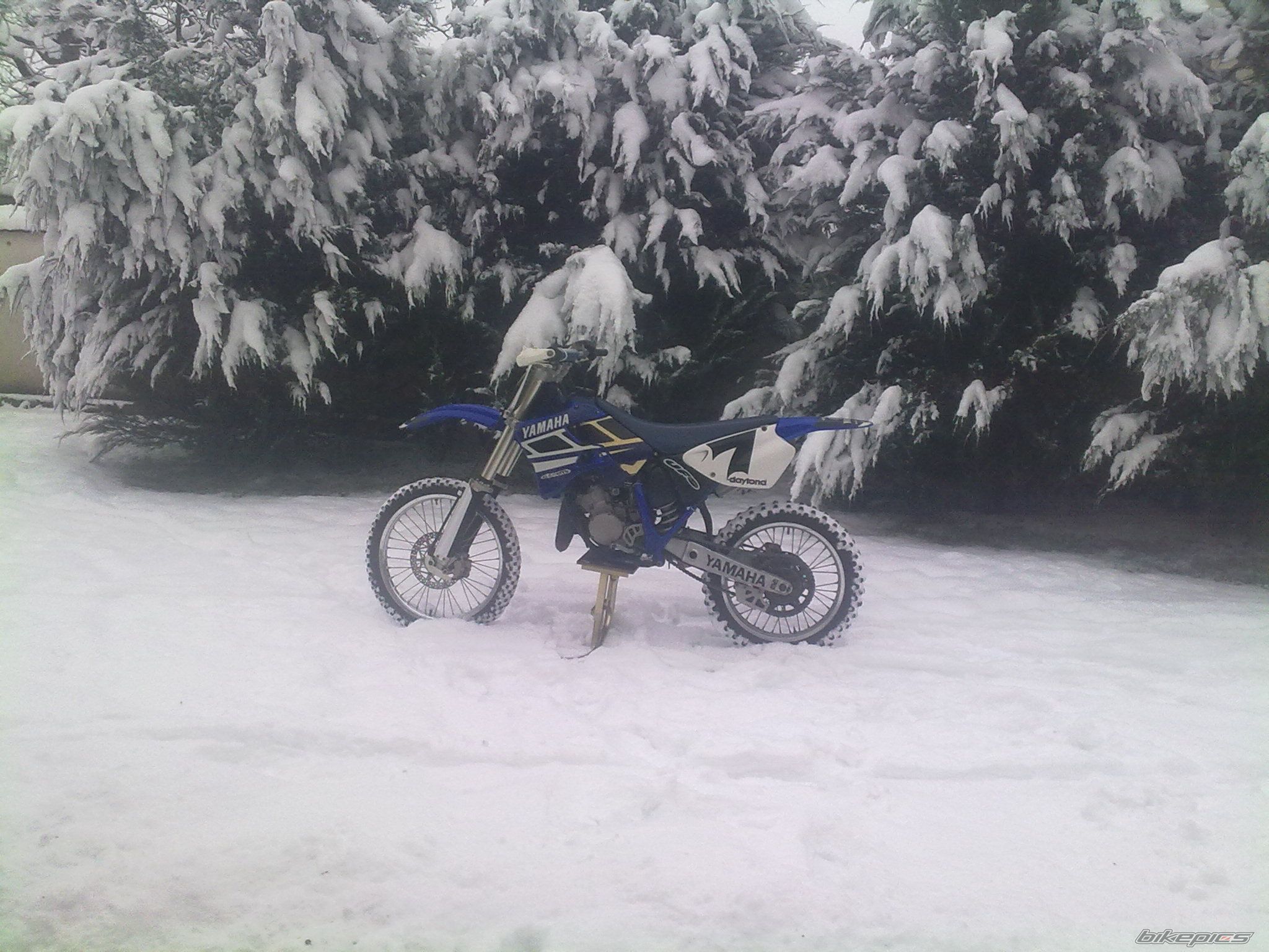 Photo 2123439