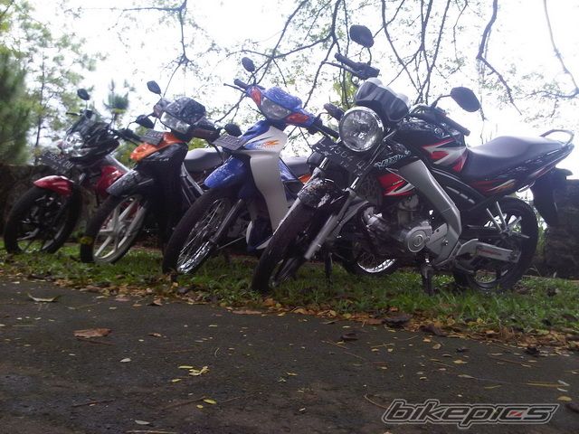 Photo 2123638
