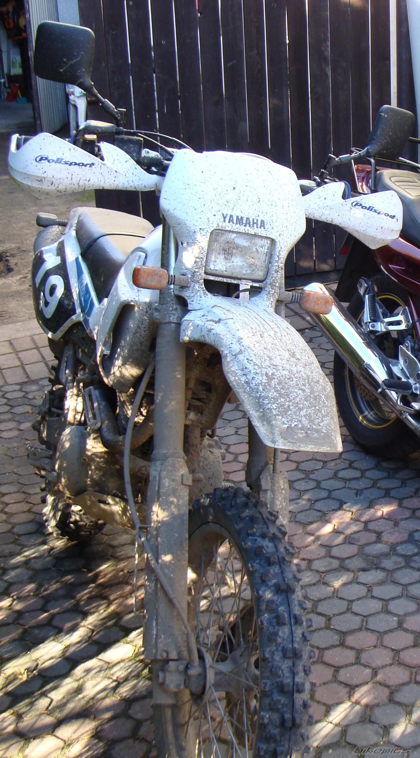 Photo 2123699