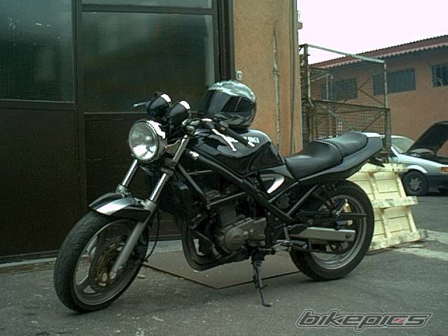 Photo 21238