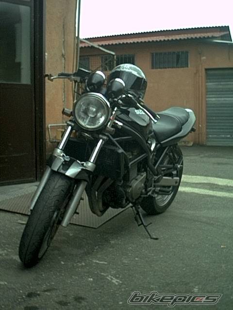 Photo 21239