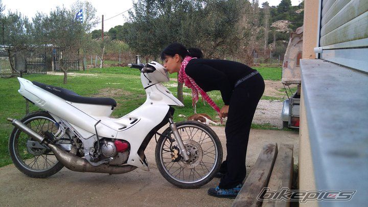 Photo 2123952