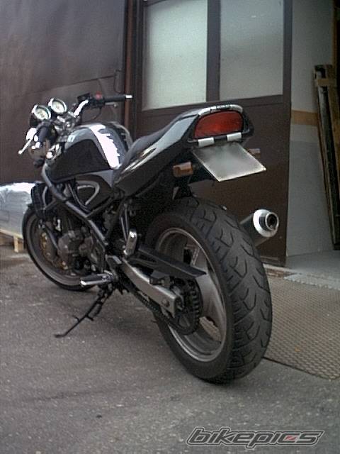 Photo 21240