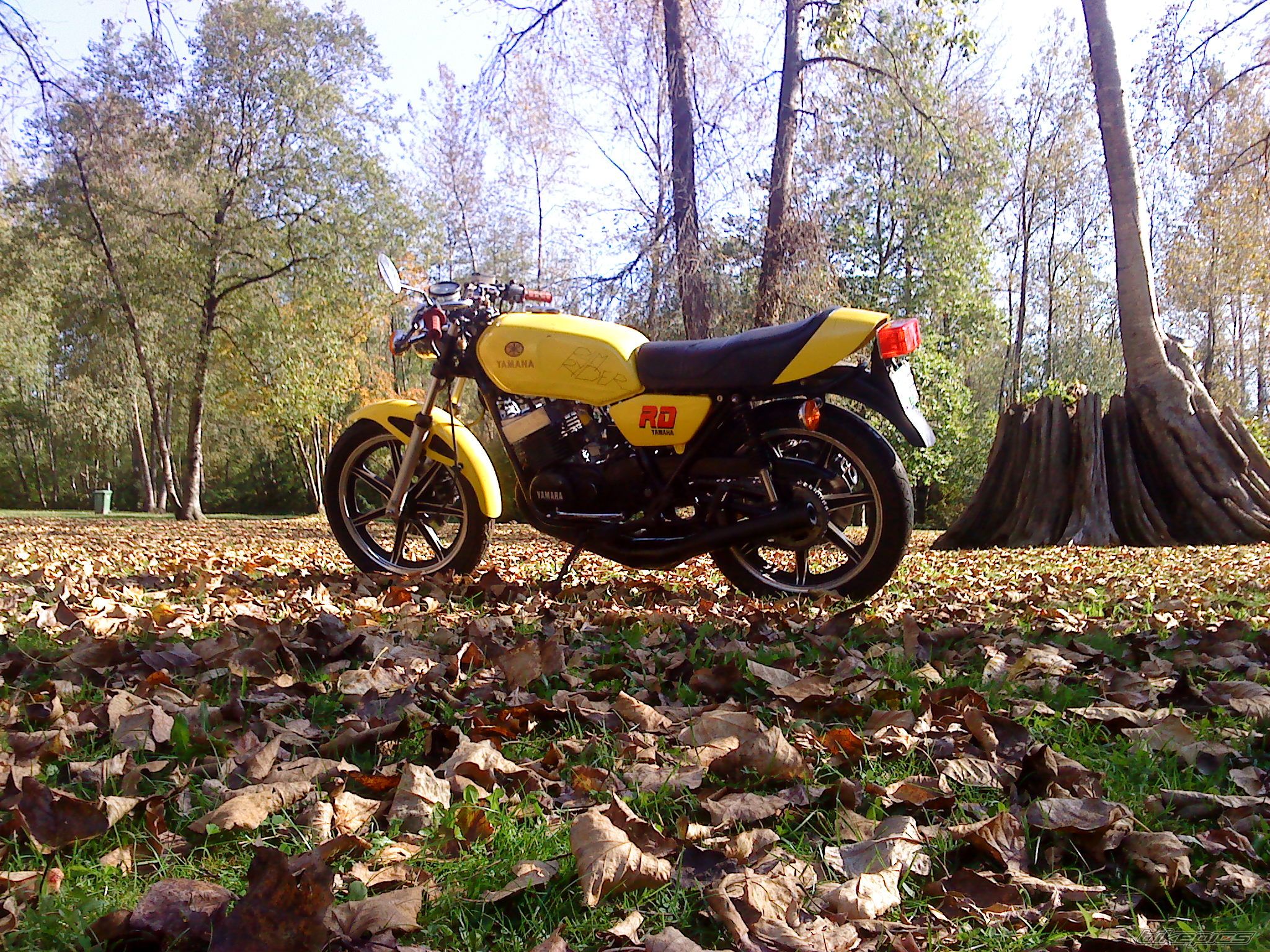 Photo 2124047