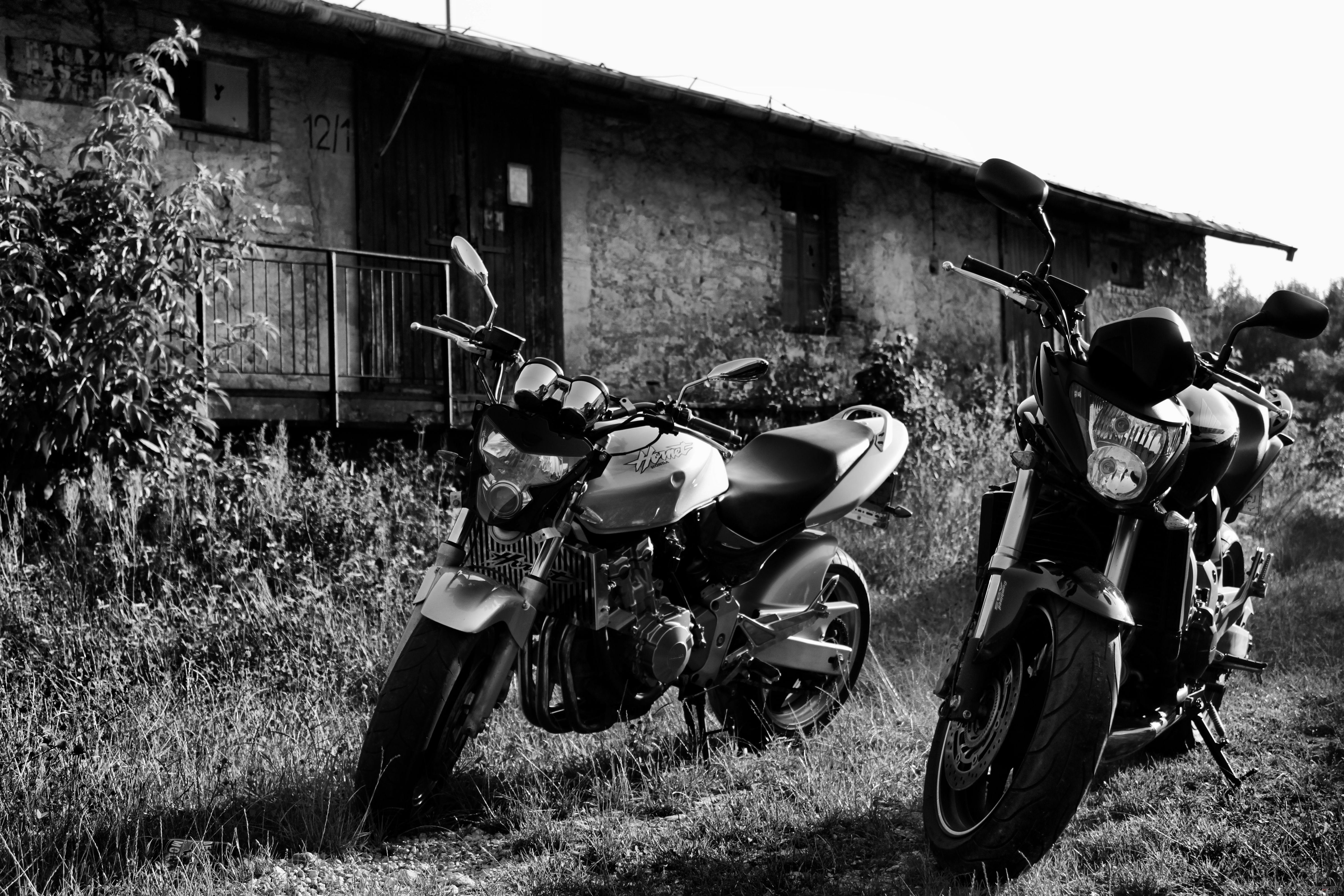 Photo 2124209