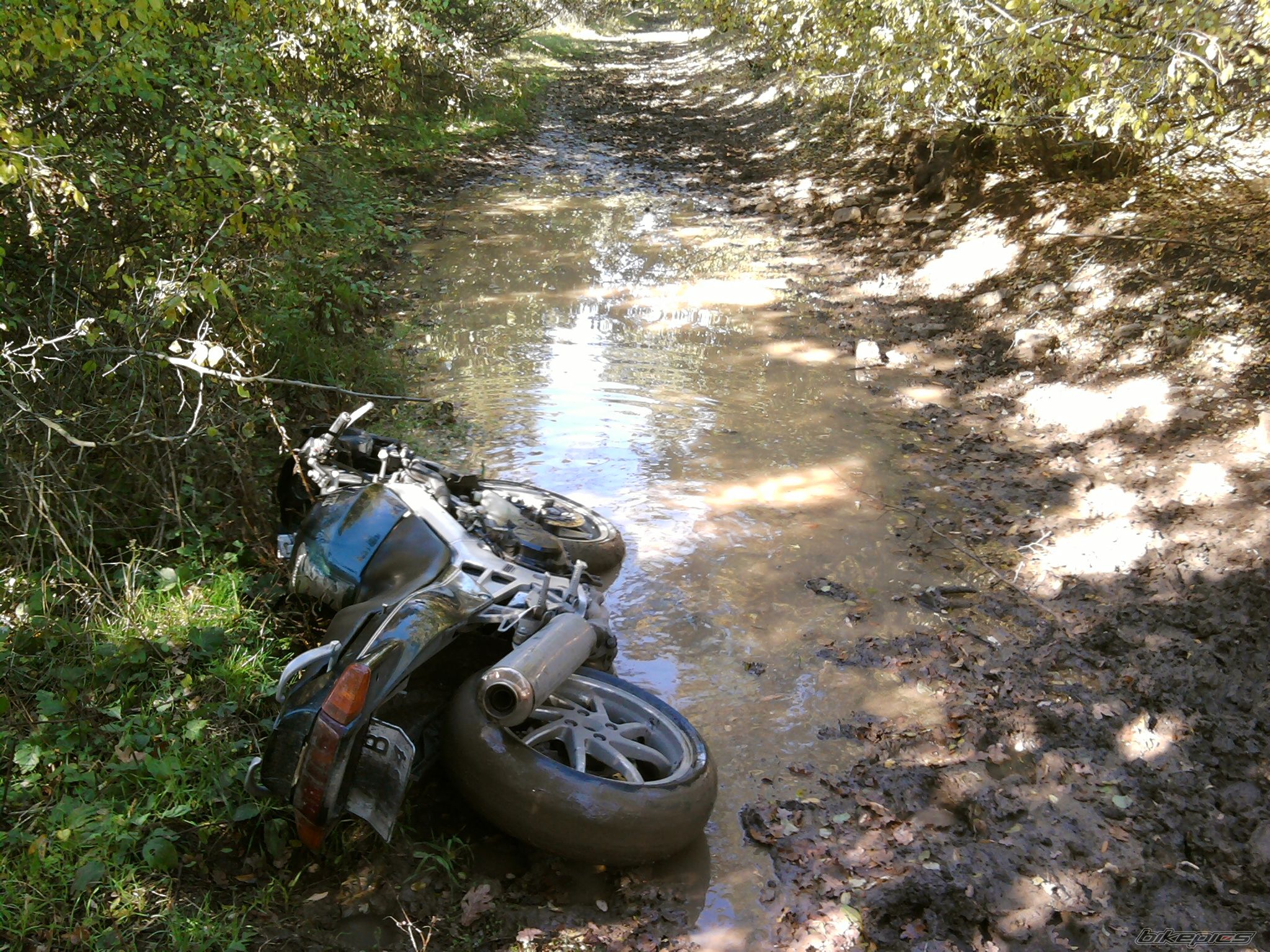 Photo 2124646