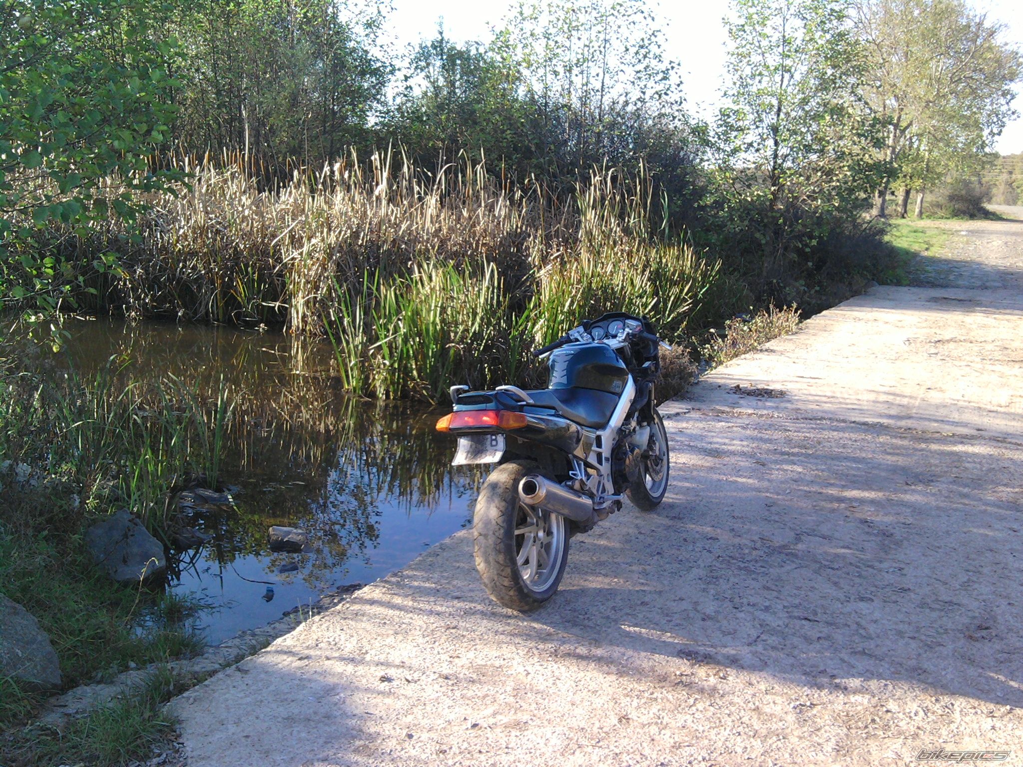 Photo 2124653