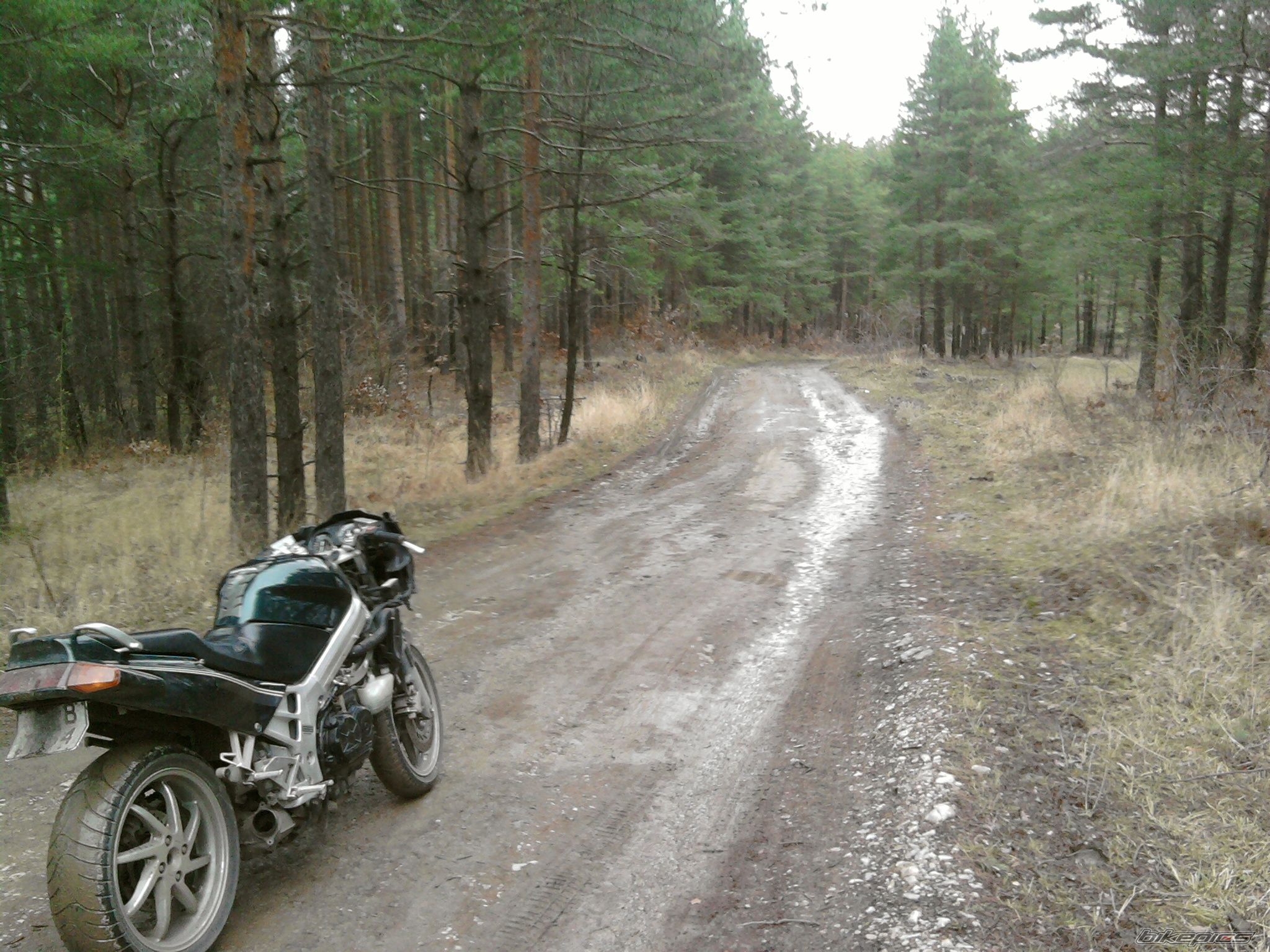 Photo 2124682