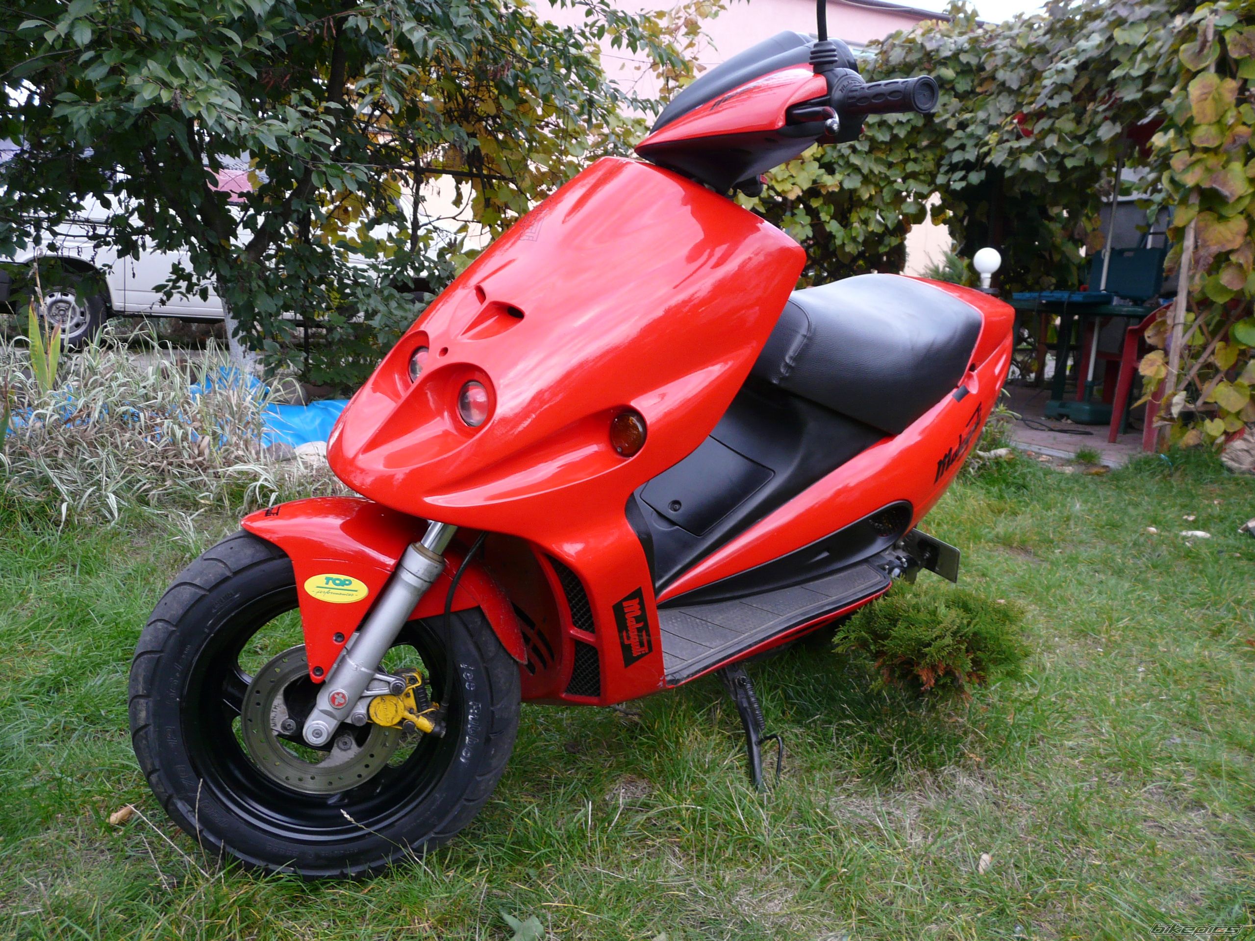 Photo 2124883