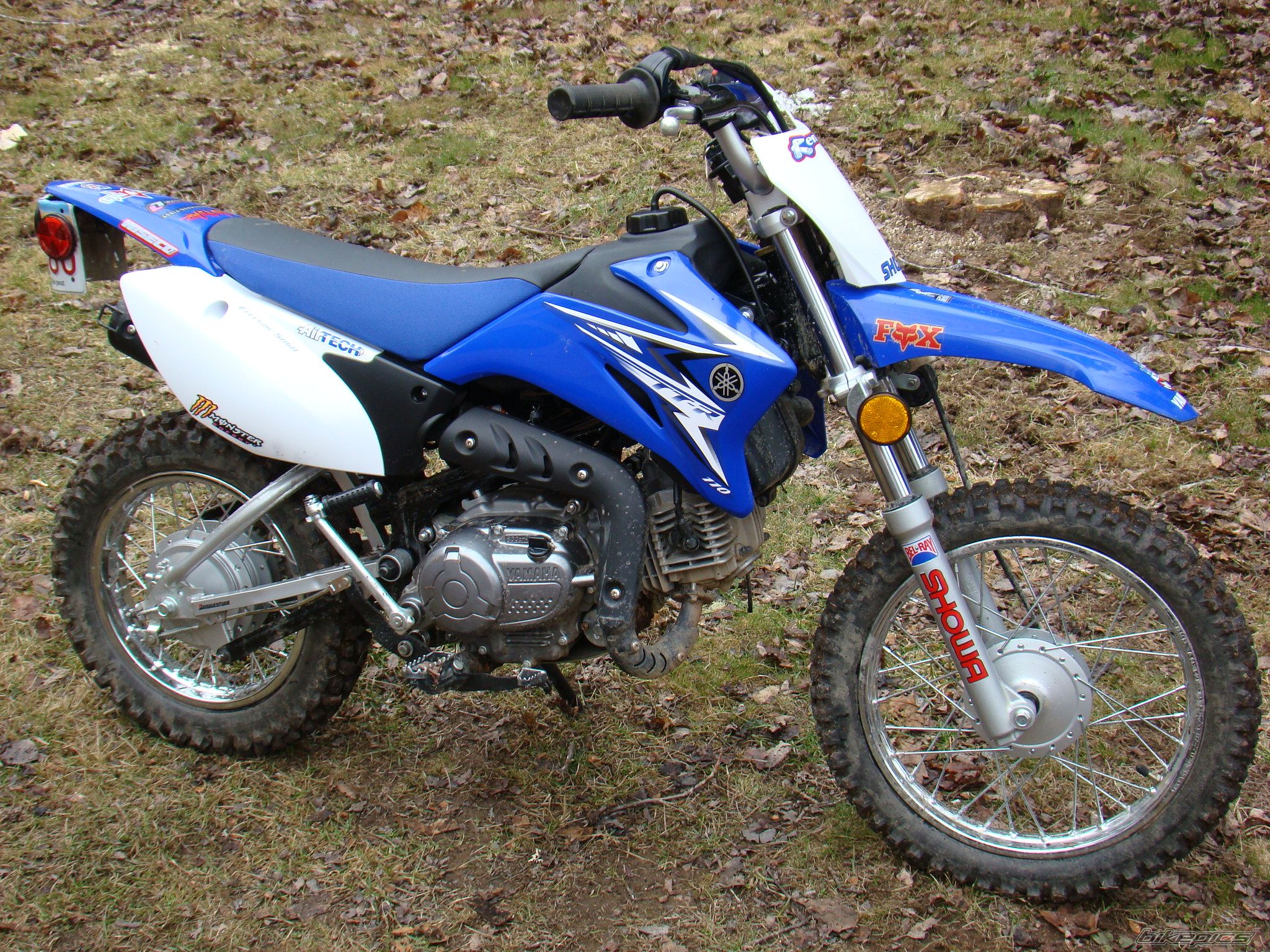 Photo 2125016