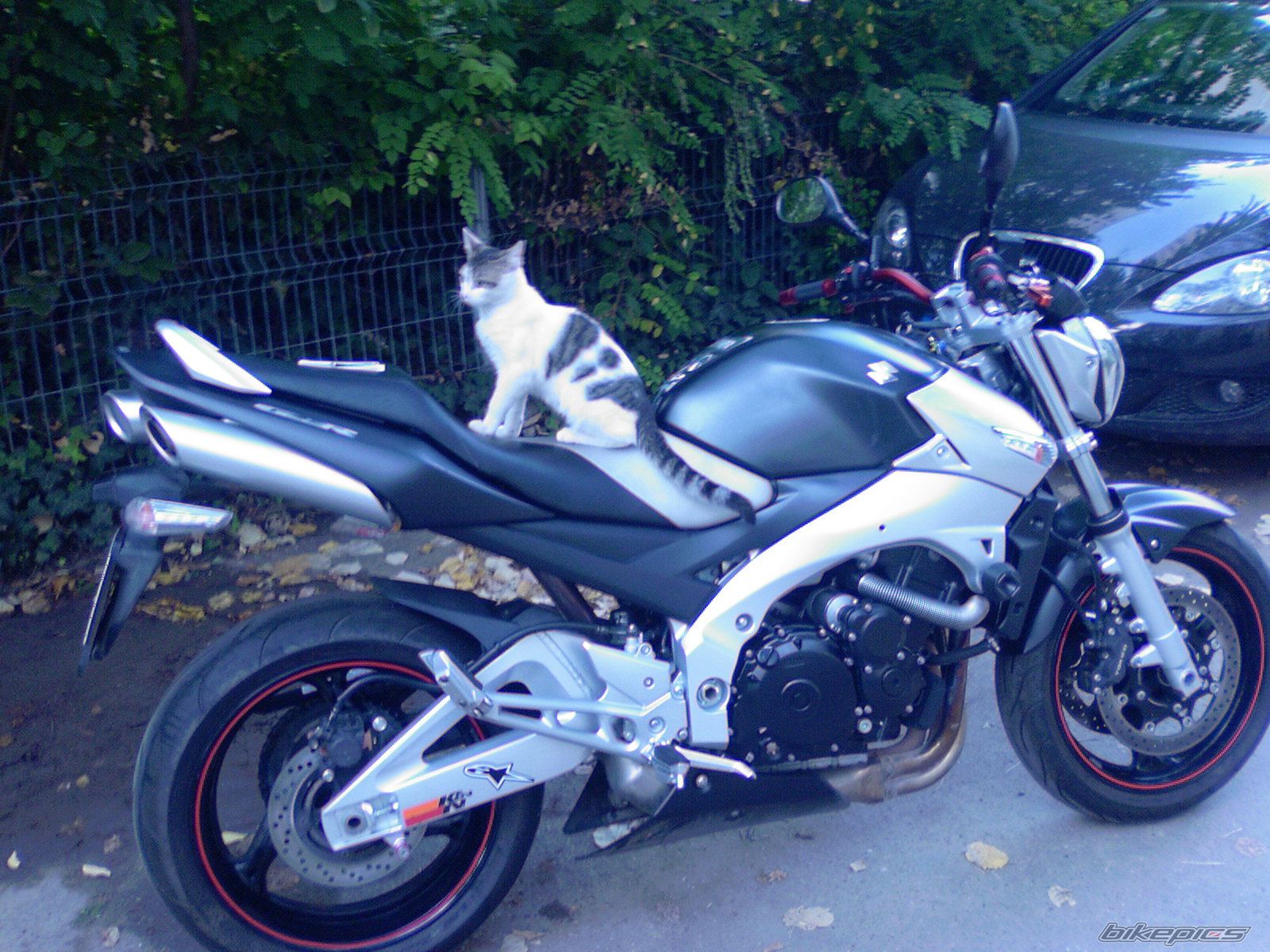Photo 2125360