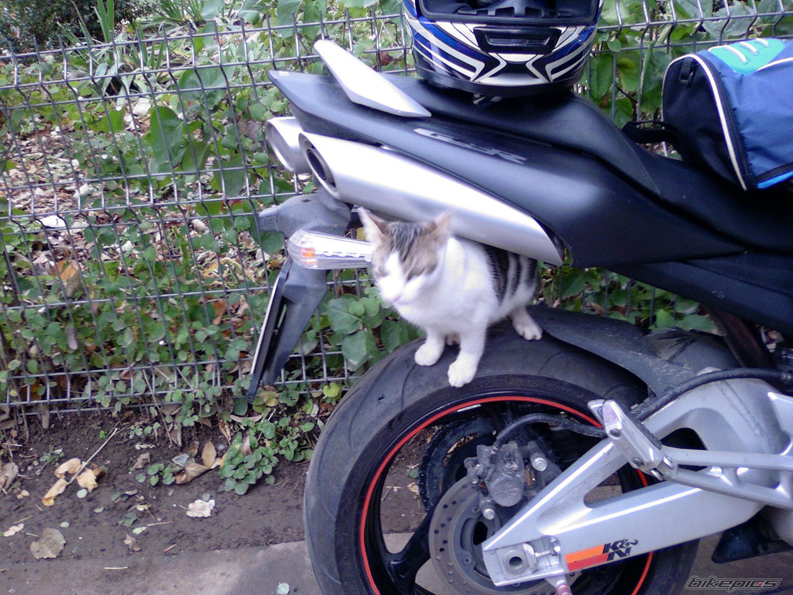 Photo 2125366