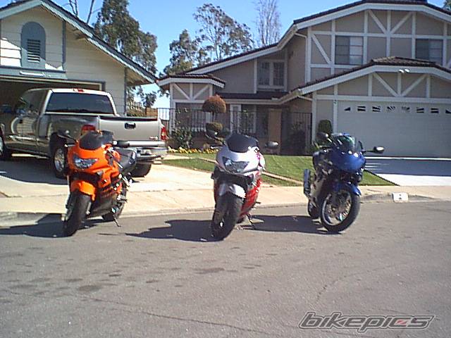 Photo 21255