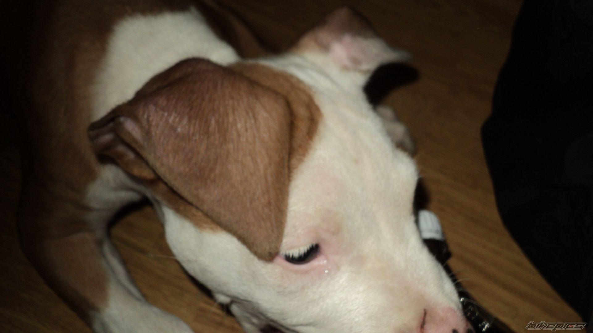 Photo 2125509