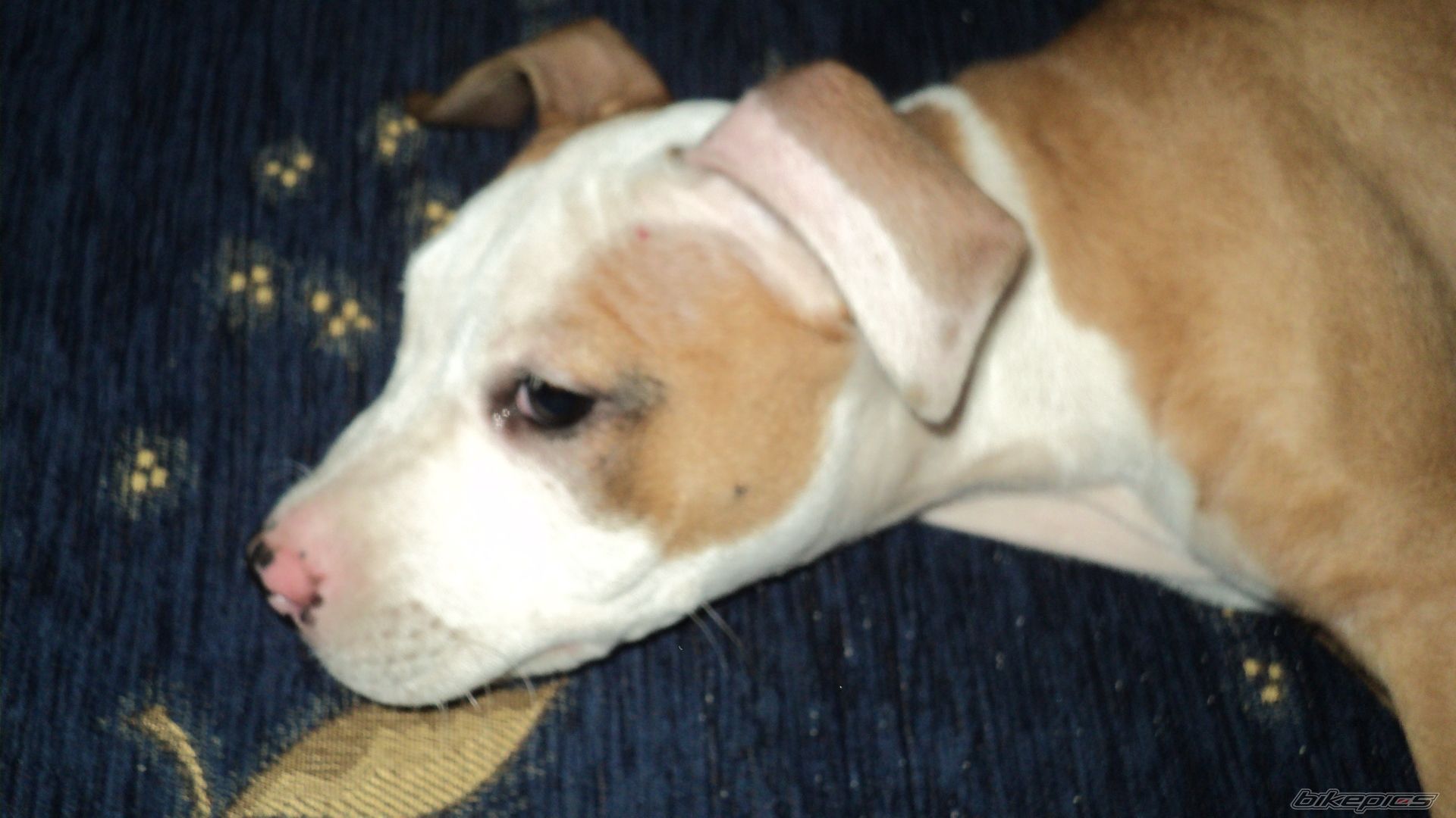 Photo 2125522