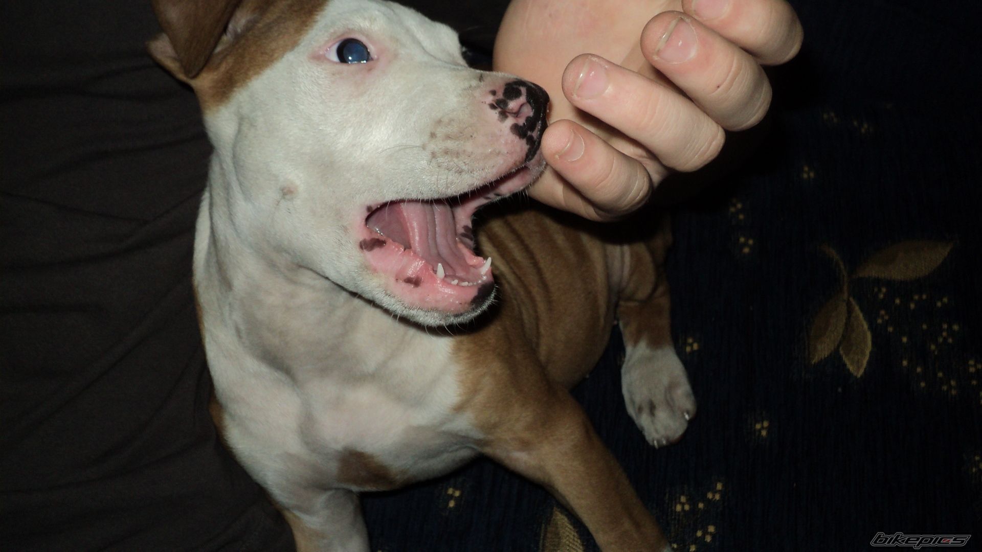 Photo 2125523