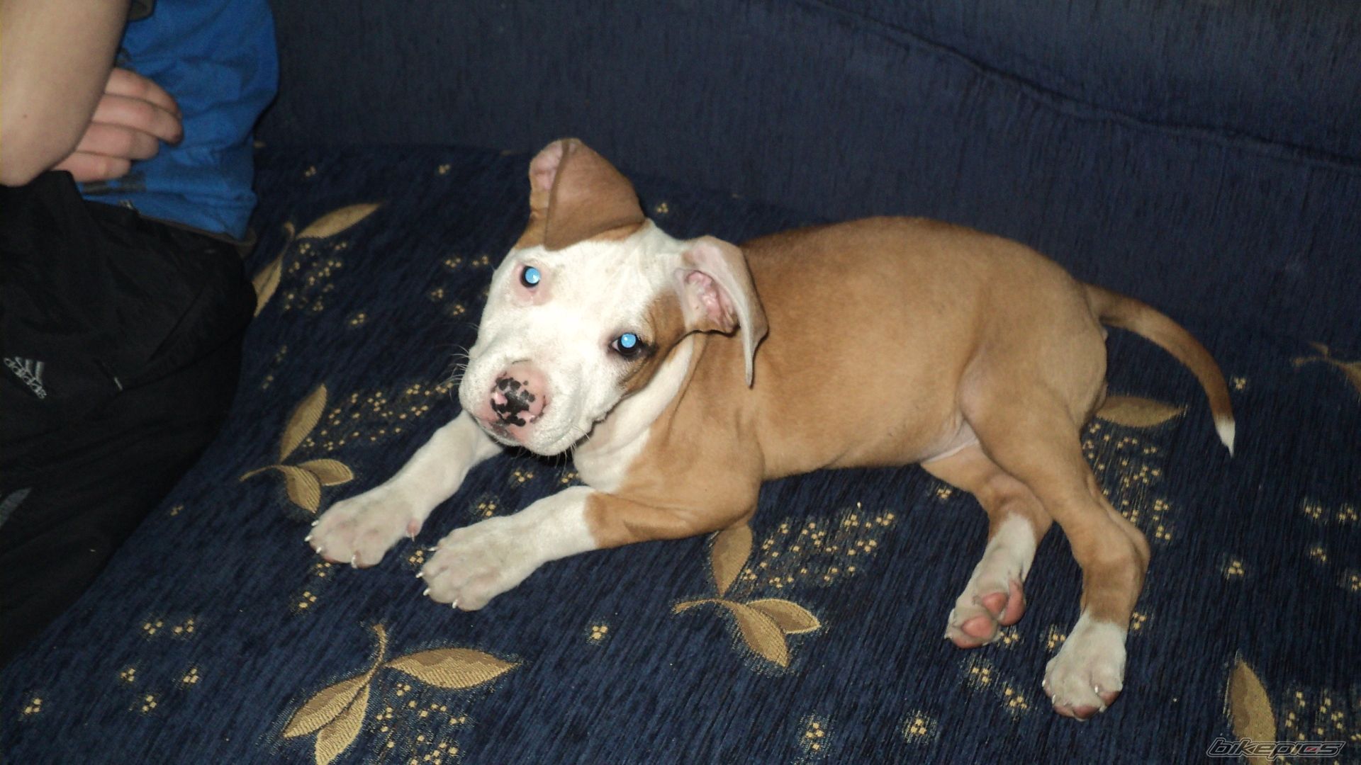 Photo 2125524