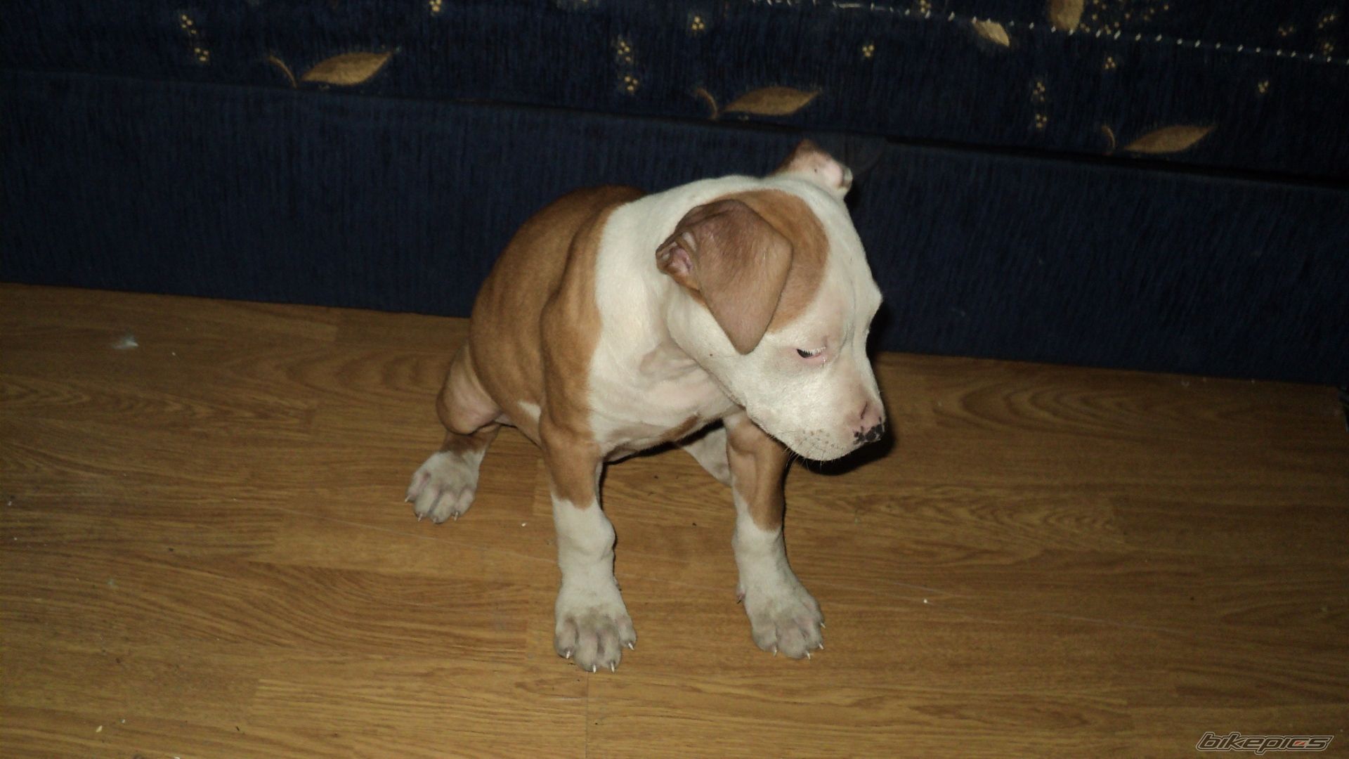 Photo 2125525