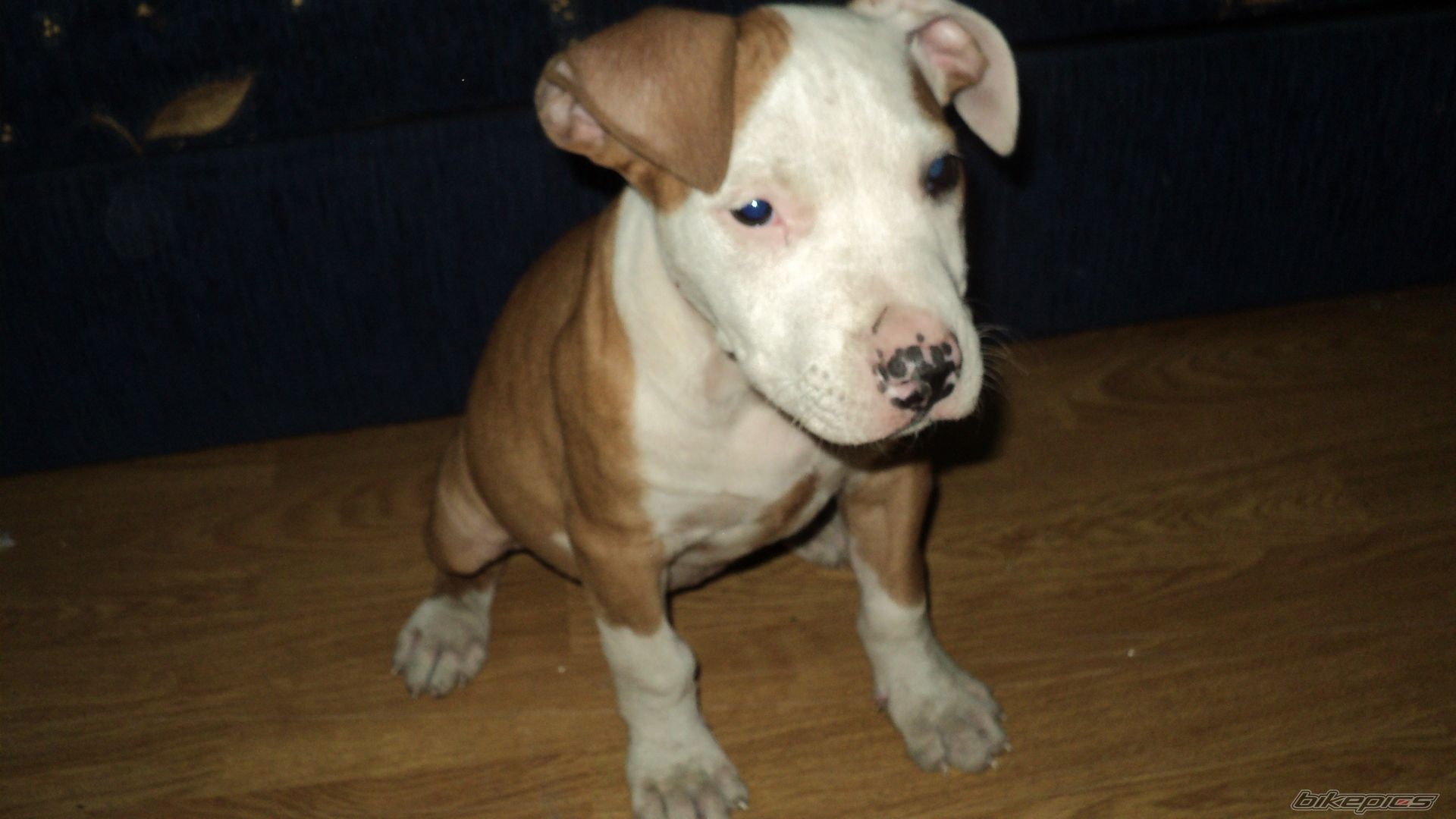 Photo 2125527