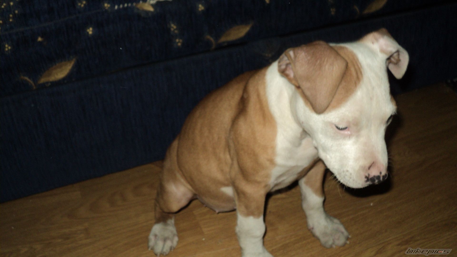 Photo 2125531