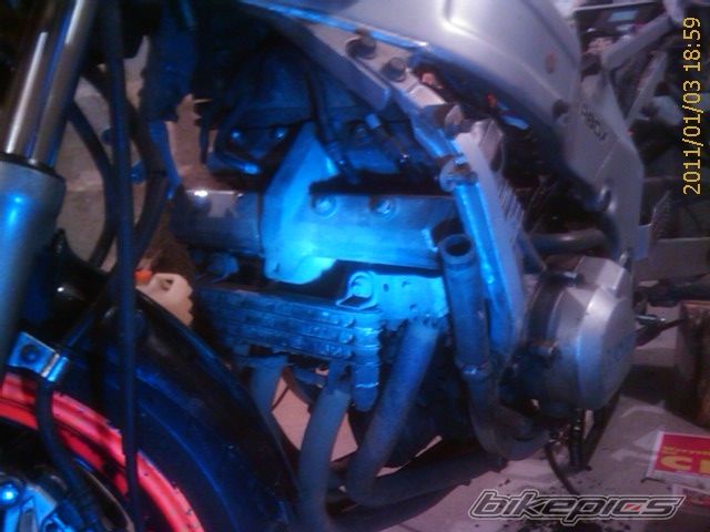 Photo 2125669