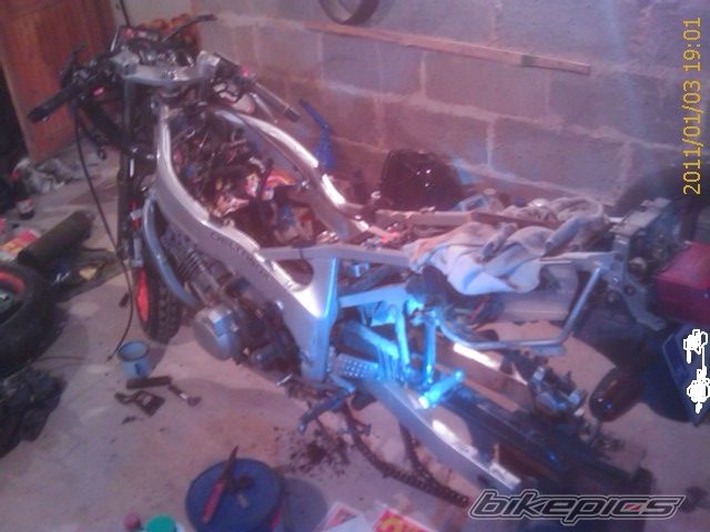 Photo 2125675