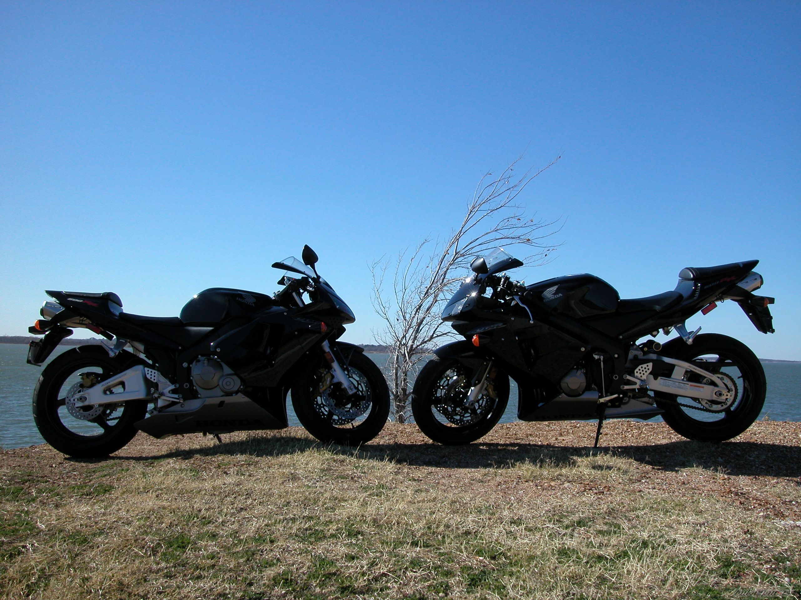 Photo 2125767
