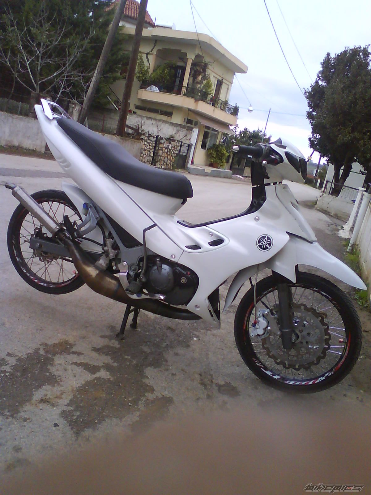 Photo 2125853