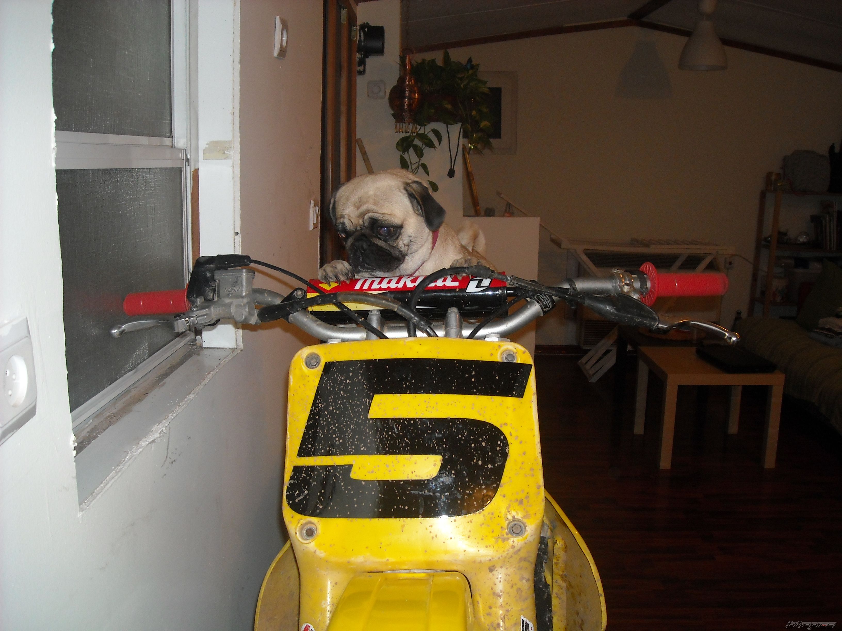 Bike Photo 2125881