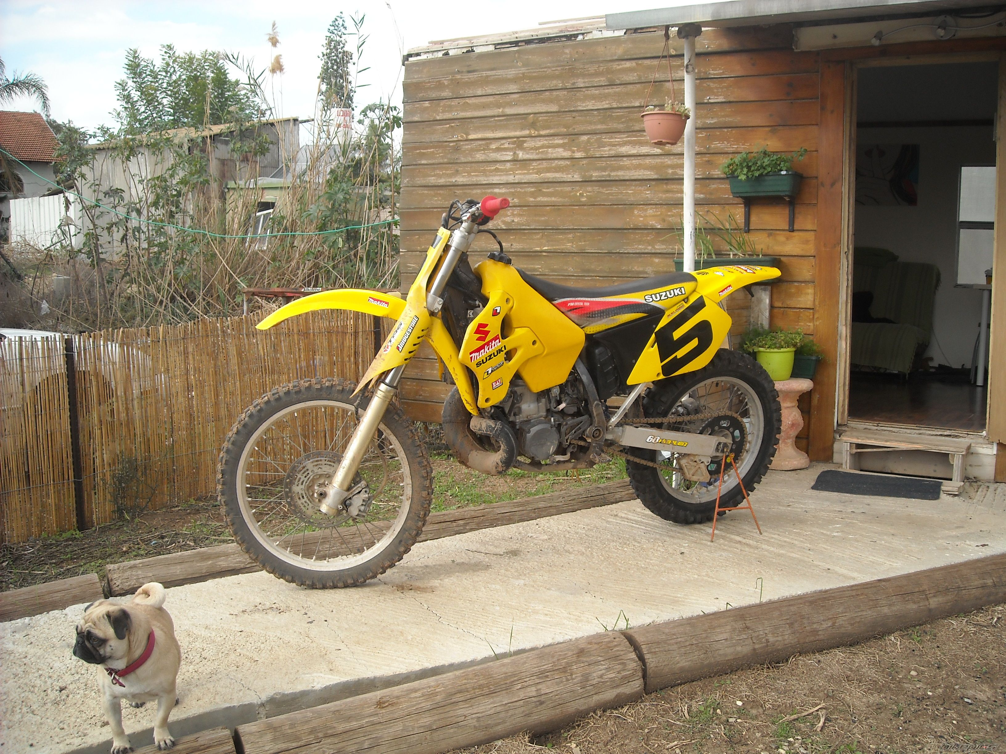 Bike Photo 2125882