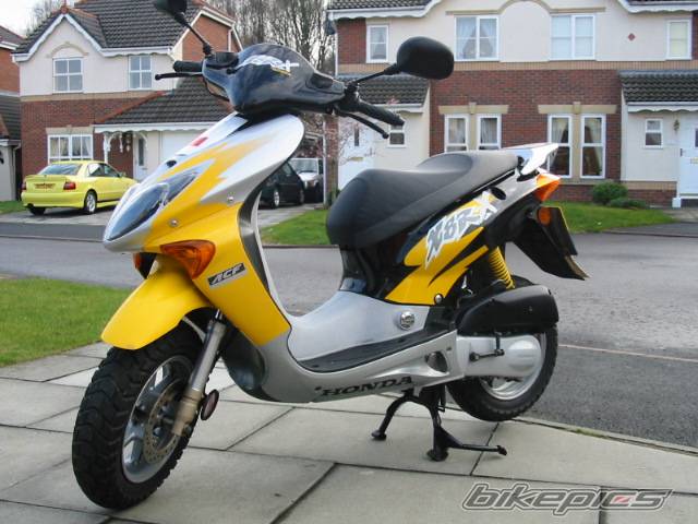 Photo 21259