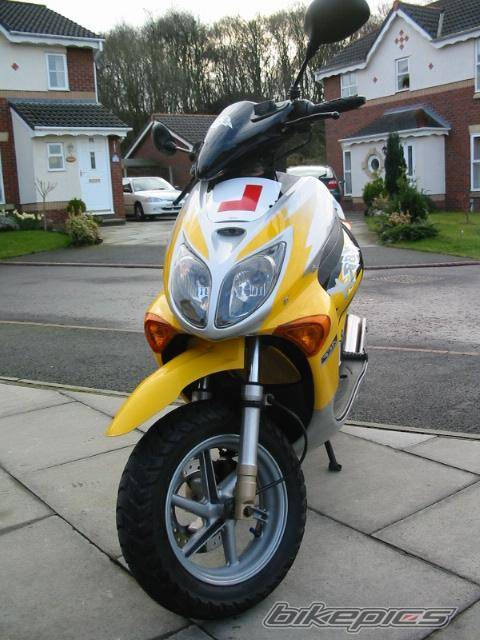Photo 21261