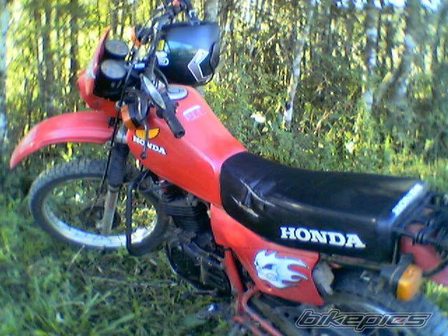 Photo 212616