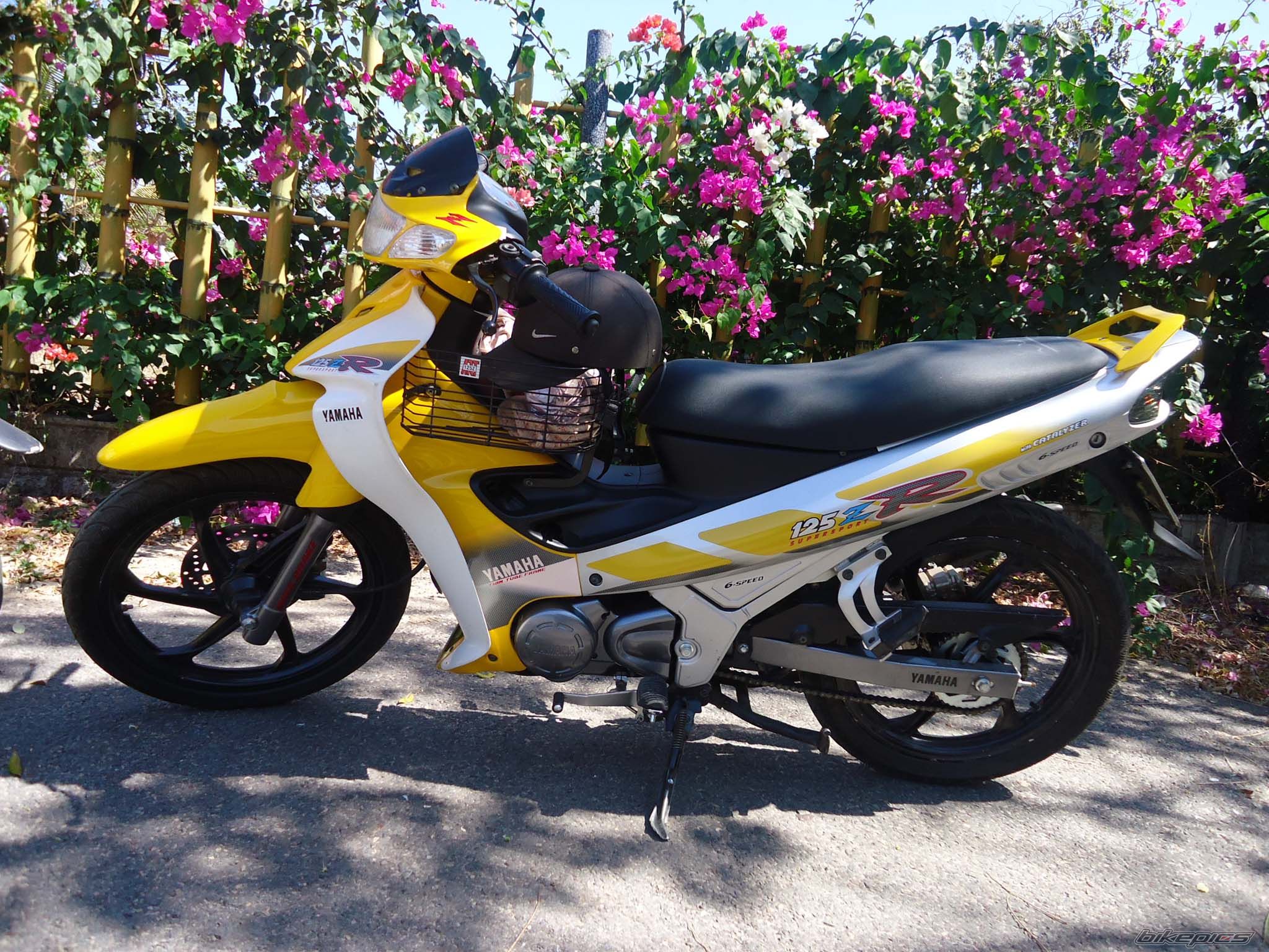Photo 2126449