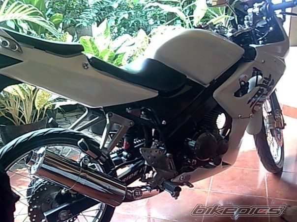 Photo 2126729
