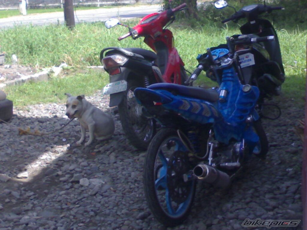 Photo 2126742