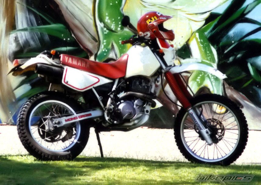 Bike Photo 2127255