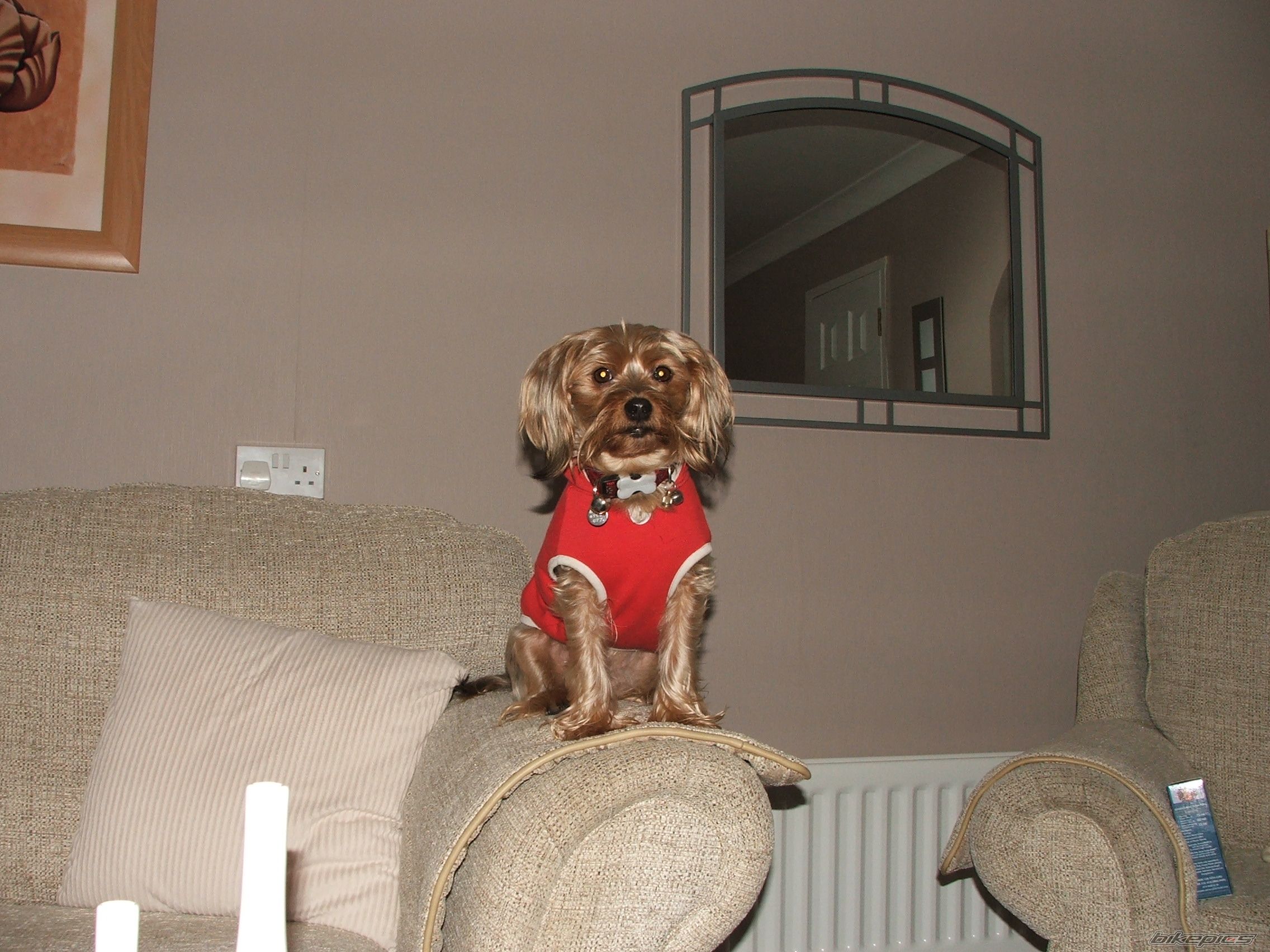 Photo 2127525