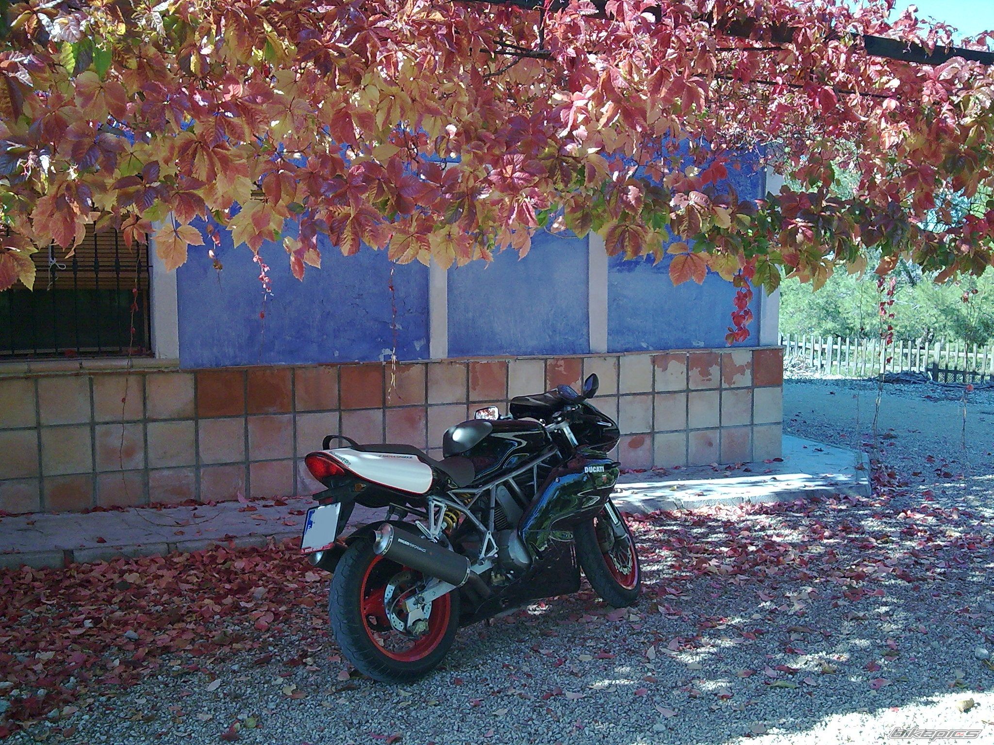Bike Photo 2127557