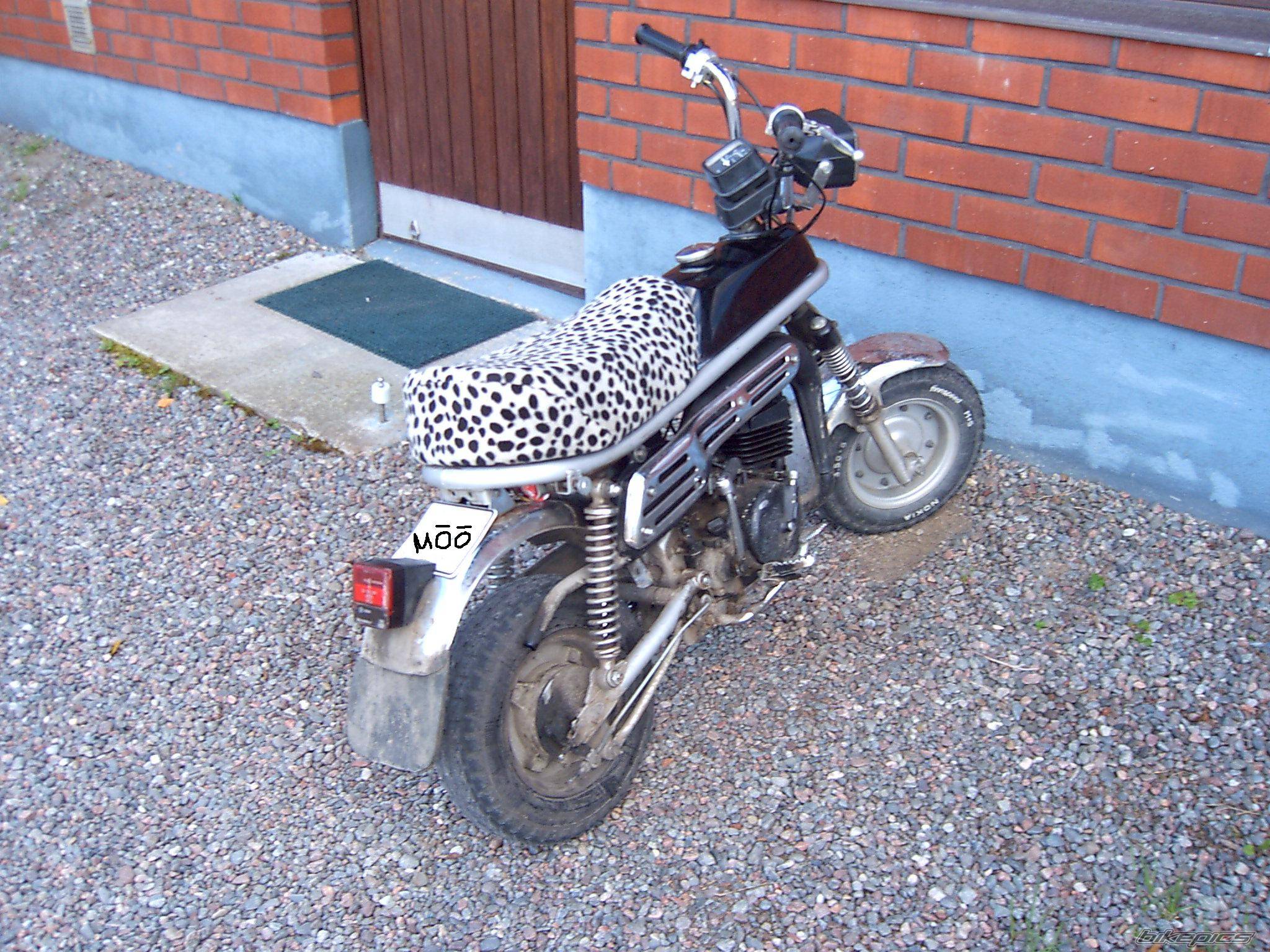 Photo 212768