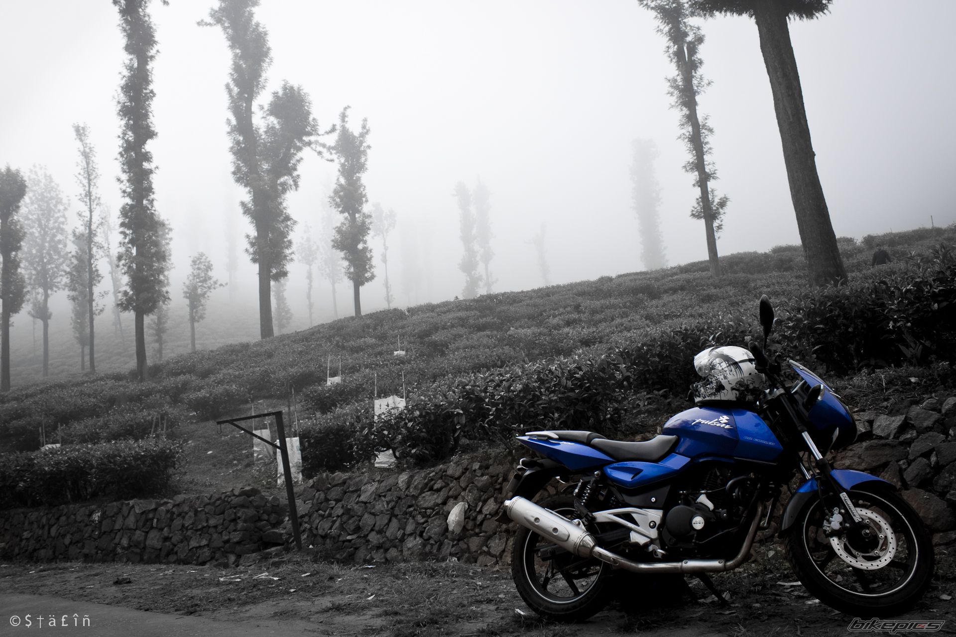 Photo 2127746