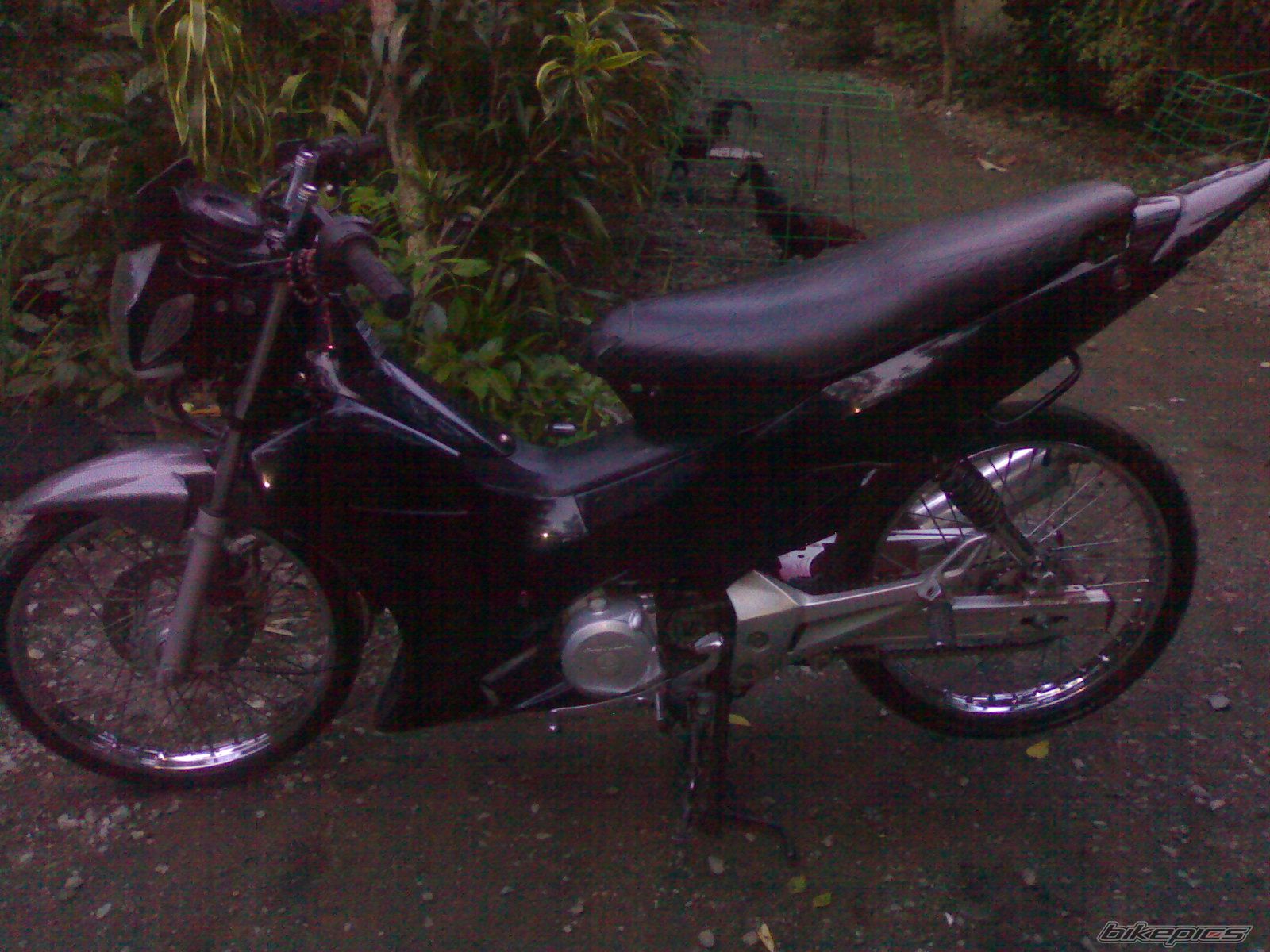 Photo 2128054
