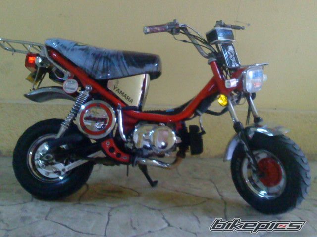 Photo 2128072
