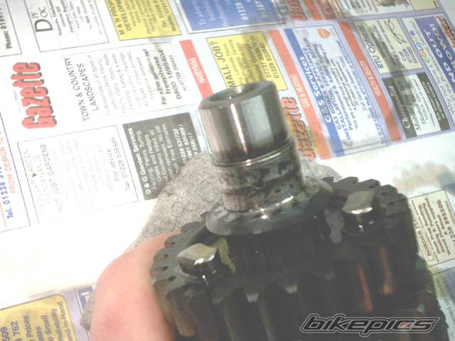 Photo 212812