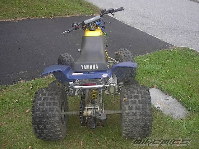 Photo 212817