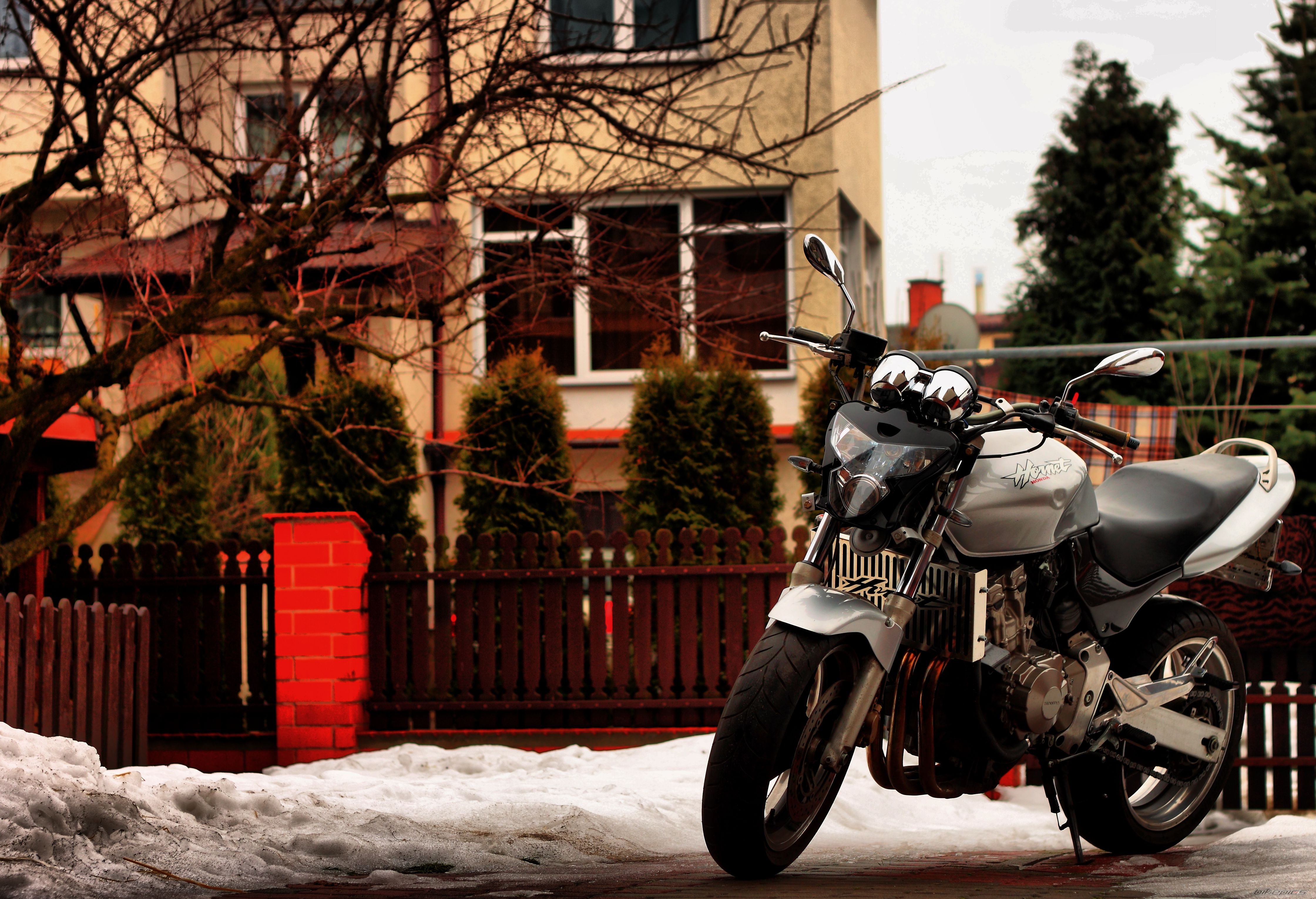 Photo 2128429