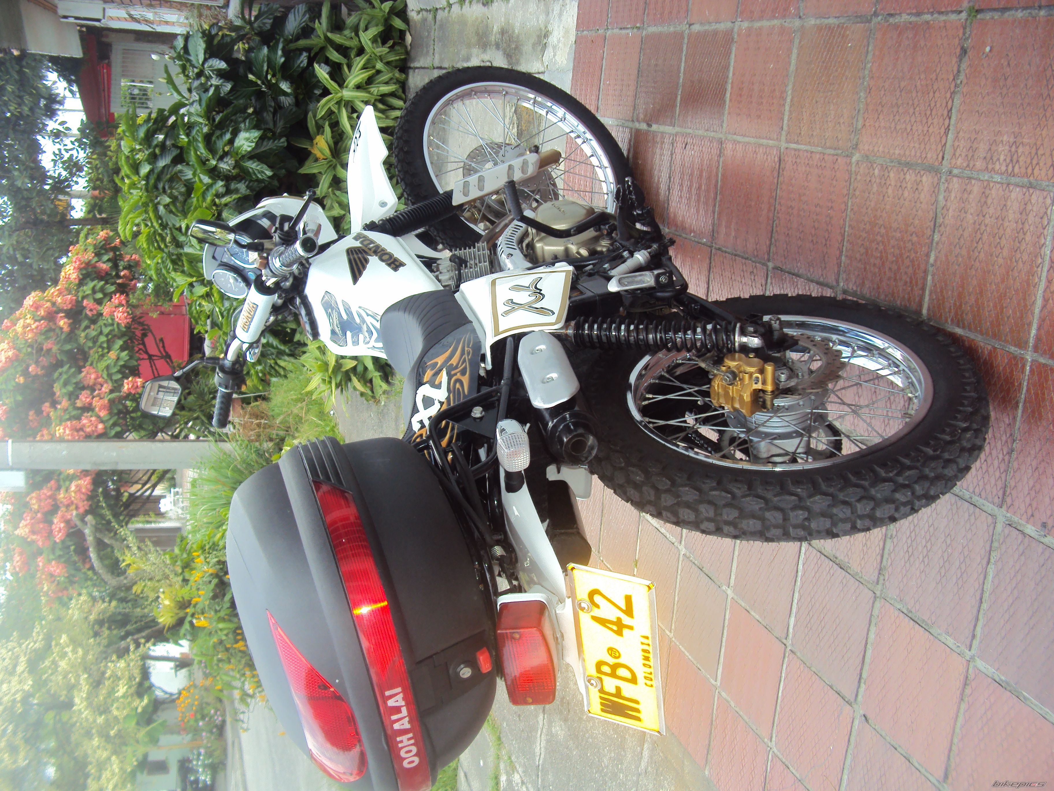 Photo 2128480