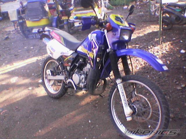 Photo 212869
