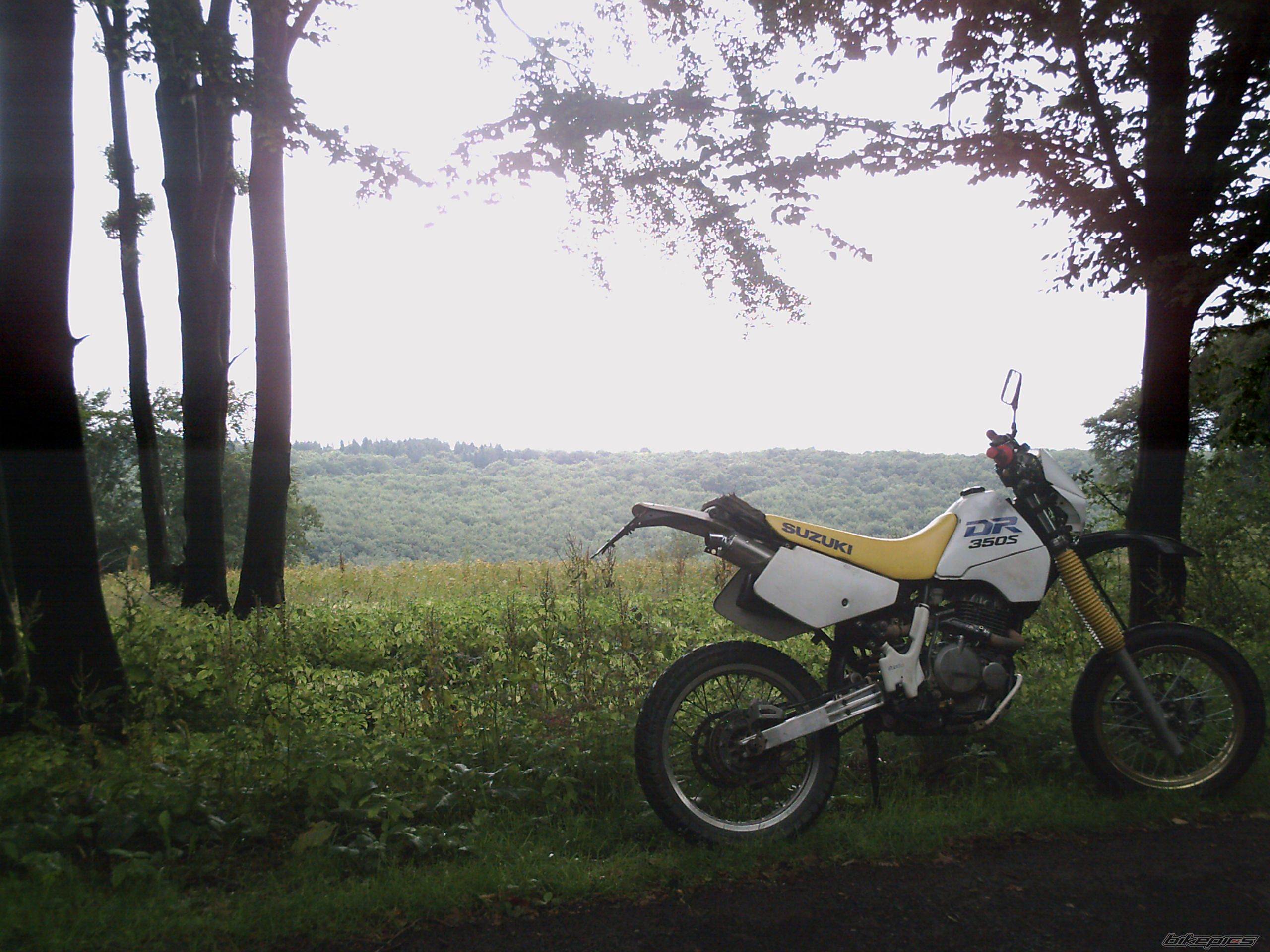 Photo 2128797